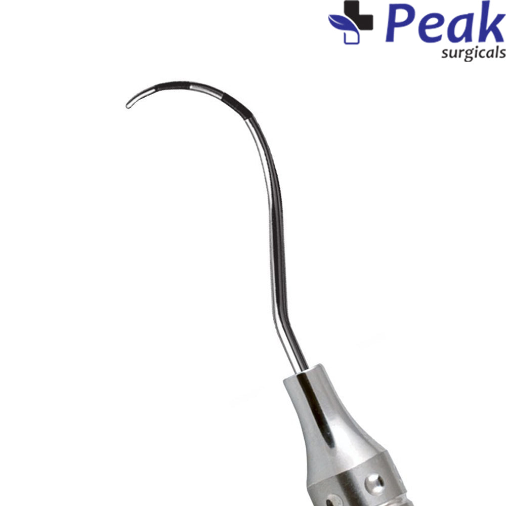 Q-2n Nabers-sondekleur Secundaire afbeelding
