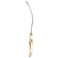 Ramirez Type Endoscopic Forehead Instruments