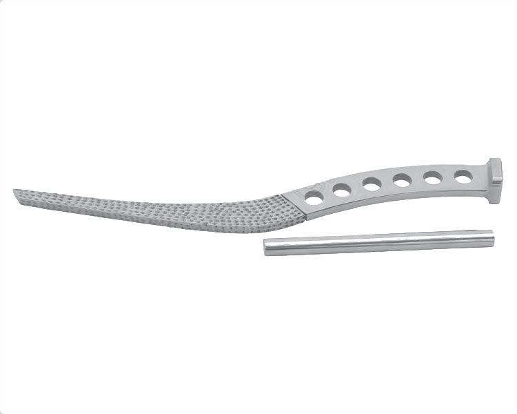 Rasp for Austin Moore Hlavní obrázek produktu