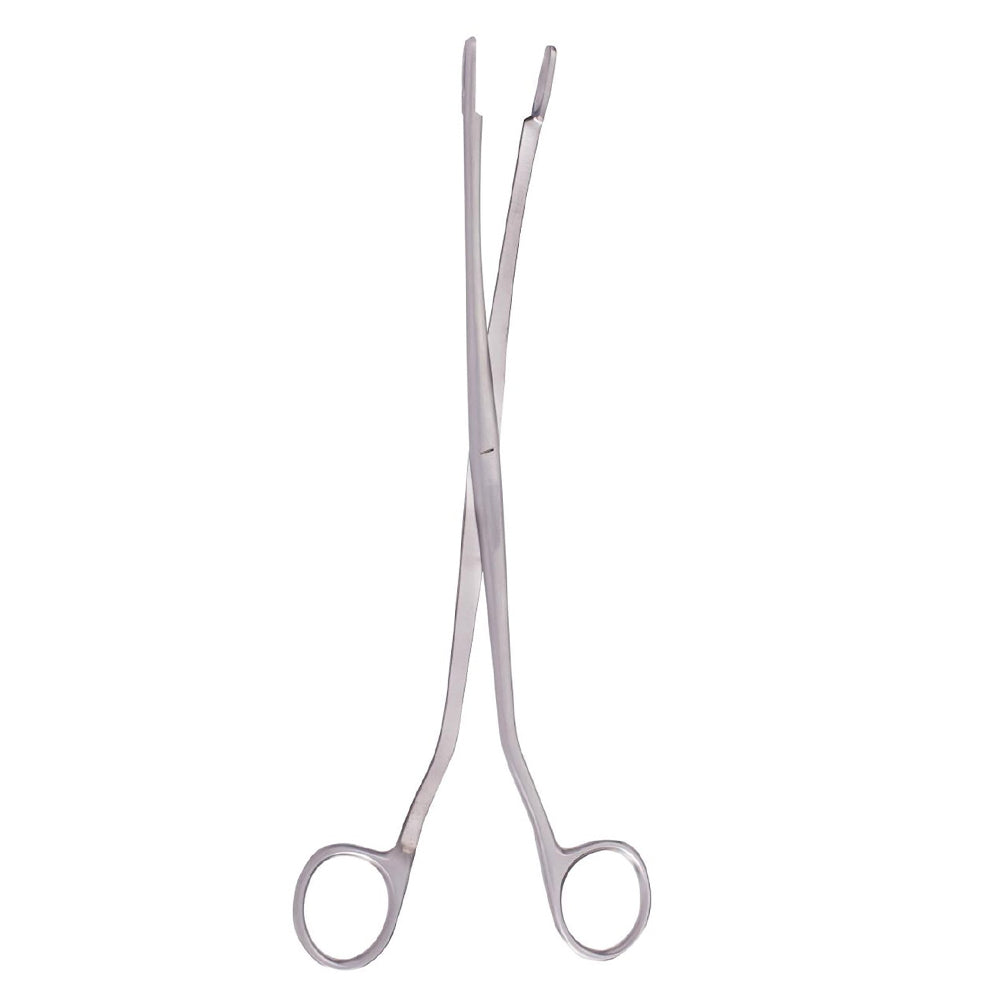 Rochester Gall Stone Forceps