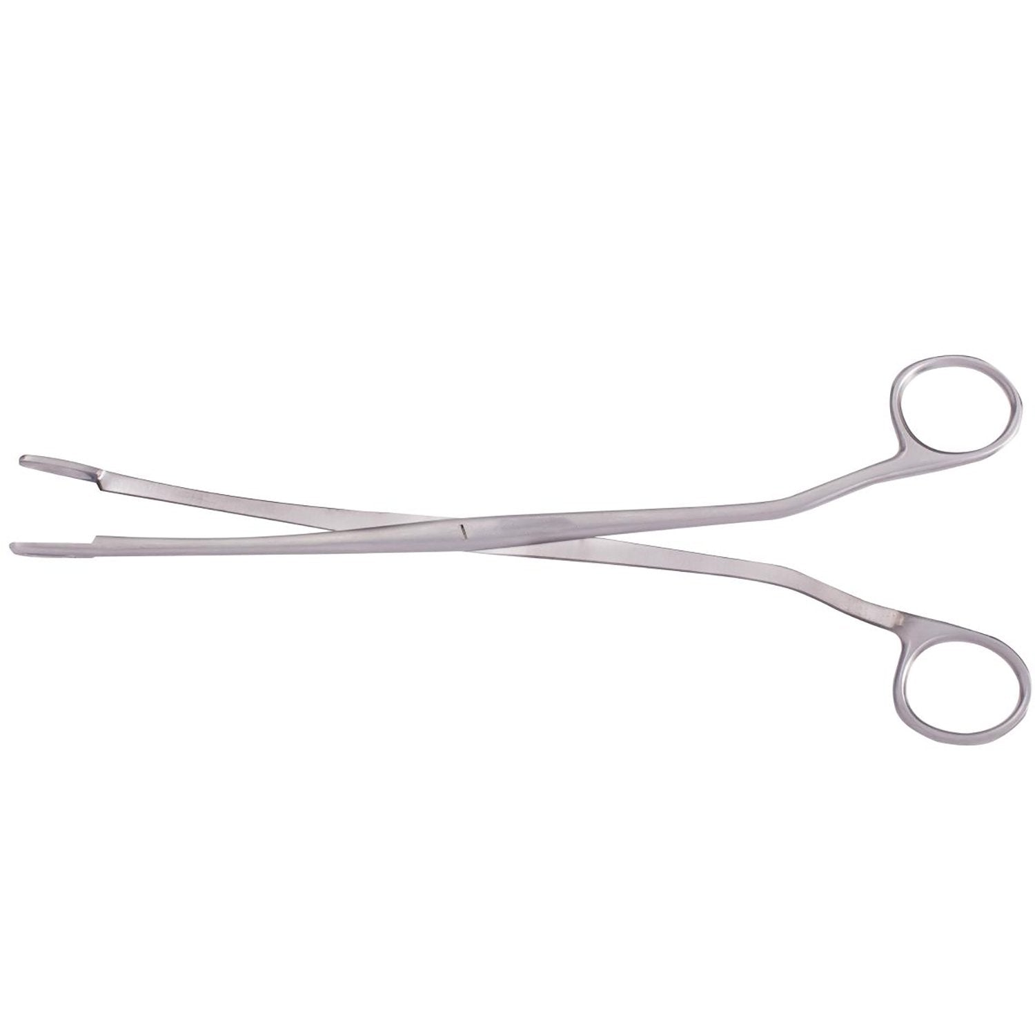 Rochester Gall Stone Forceps Hoofdafbeelding