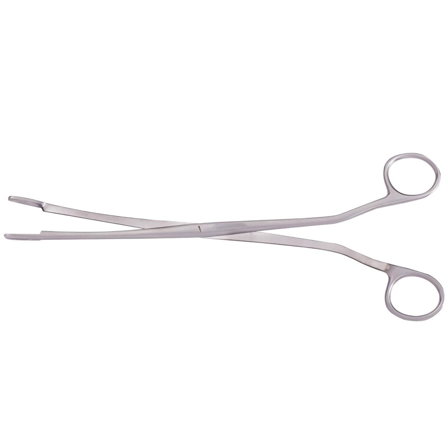Rochester Gall Stone Forceps