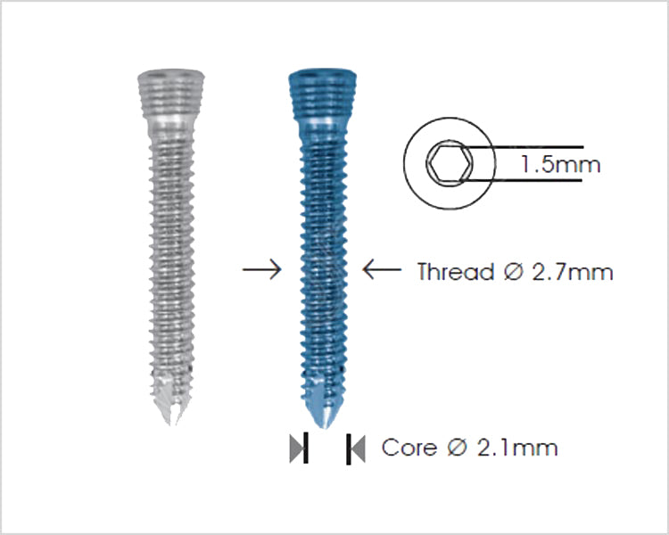 Safety Lock Screw Ø2.7mm Self Tapping Κύρια εικόνα προϊόντος