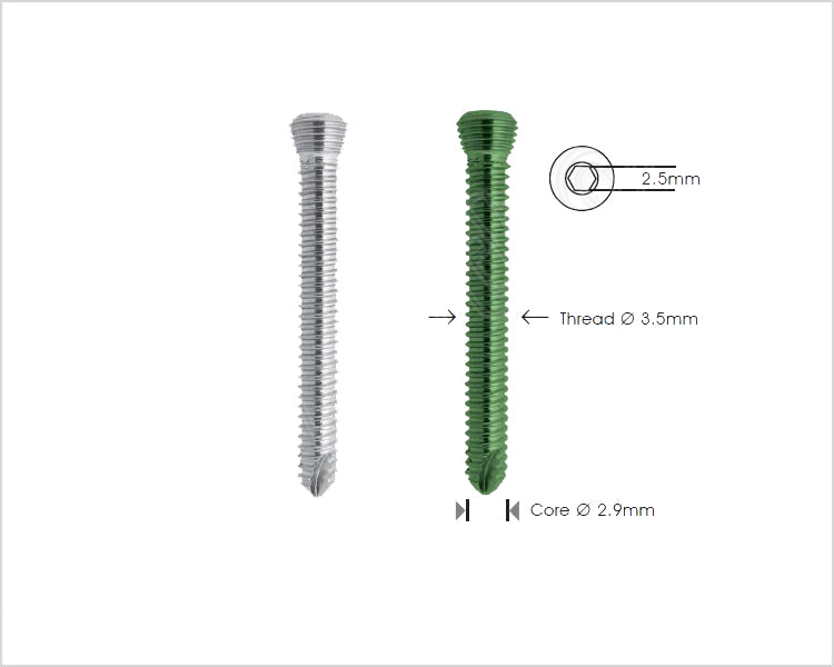 Safety Lock Screw Ø 3.5mm - Self Tapping Κύρια εικόνα προϊόντος