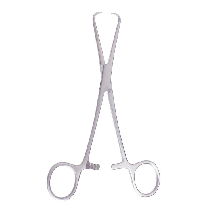 Sanders Vasectomy Forceps