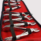 Set 7 Children Extracting Forceps