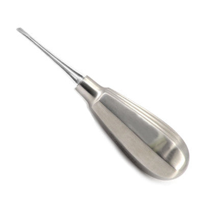 Small Straight Chisel Edged Elevator Hlavní obrázek produktu