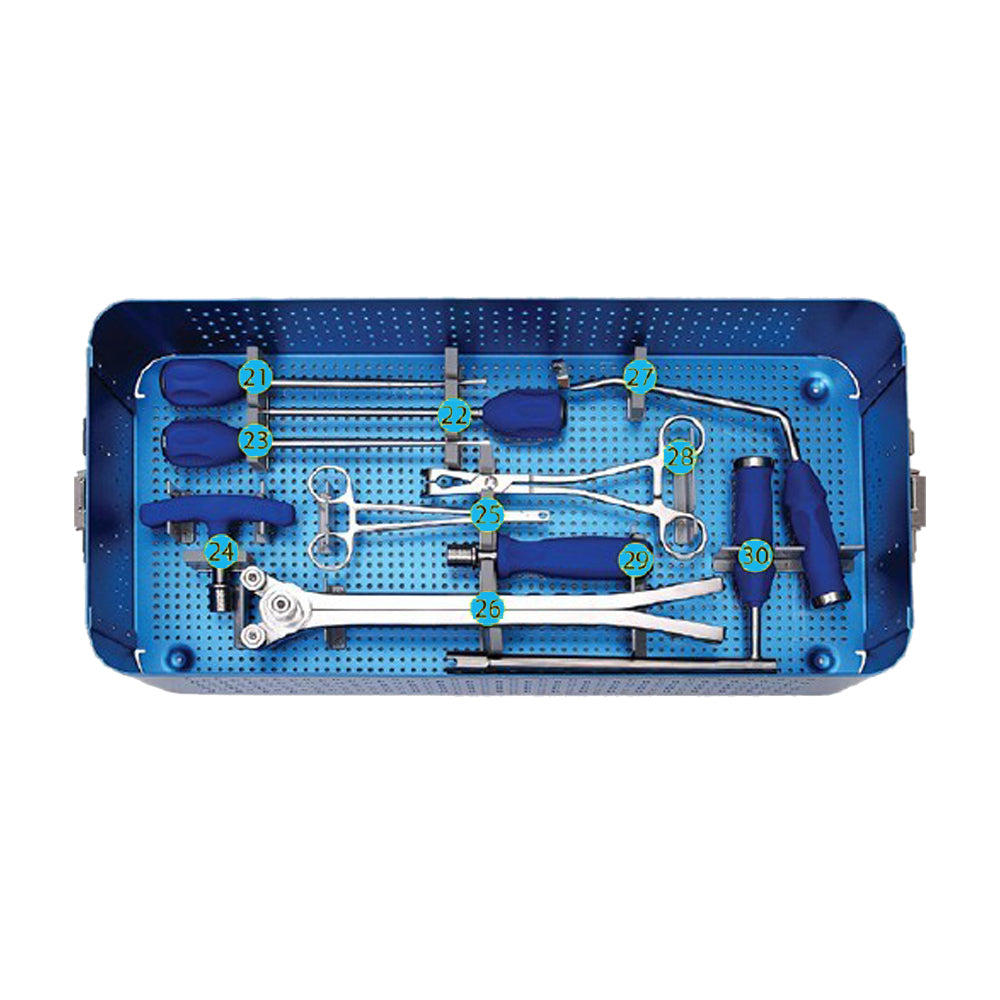 Spinal Pedicle Screw System Secondary image
