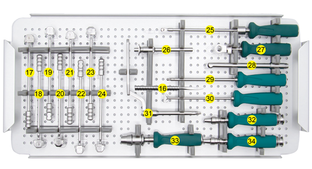 Spinal Peek Cage Locking Screw Set