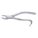 products/stainless-steel-extracting-forceps-dental-surgical-instruments.jpg