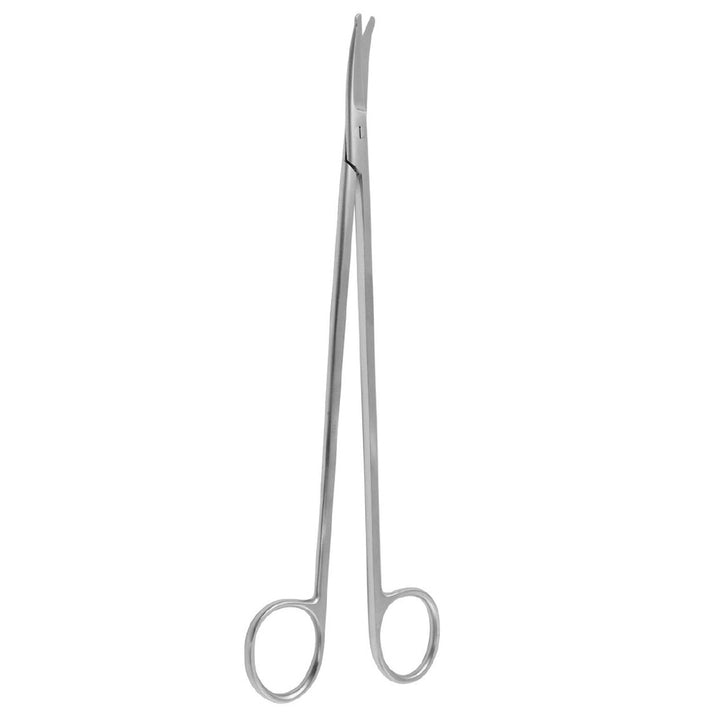 Strully Dissecting Scissors