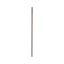 Surgical Liposuction Cannula