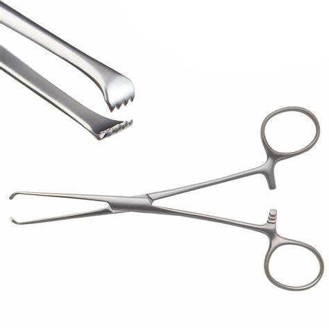 Allis Tissue Surgical Forceps Stainless Steel | Gynecology Instruments ...