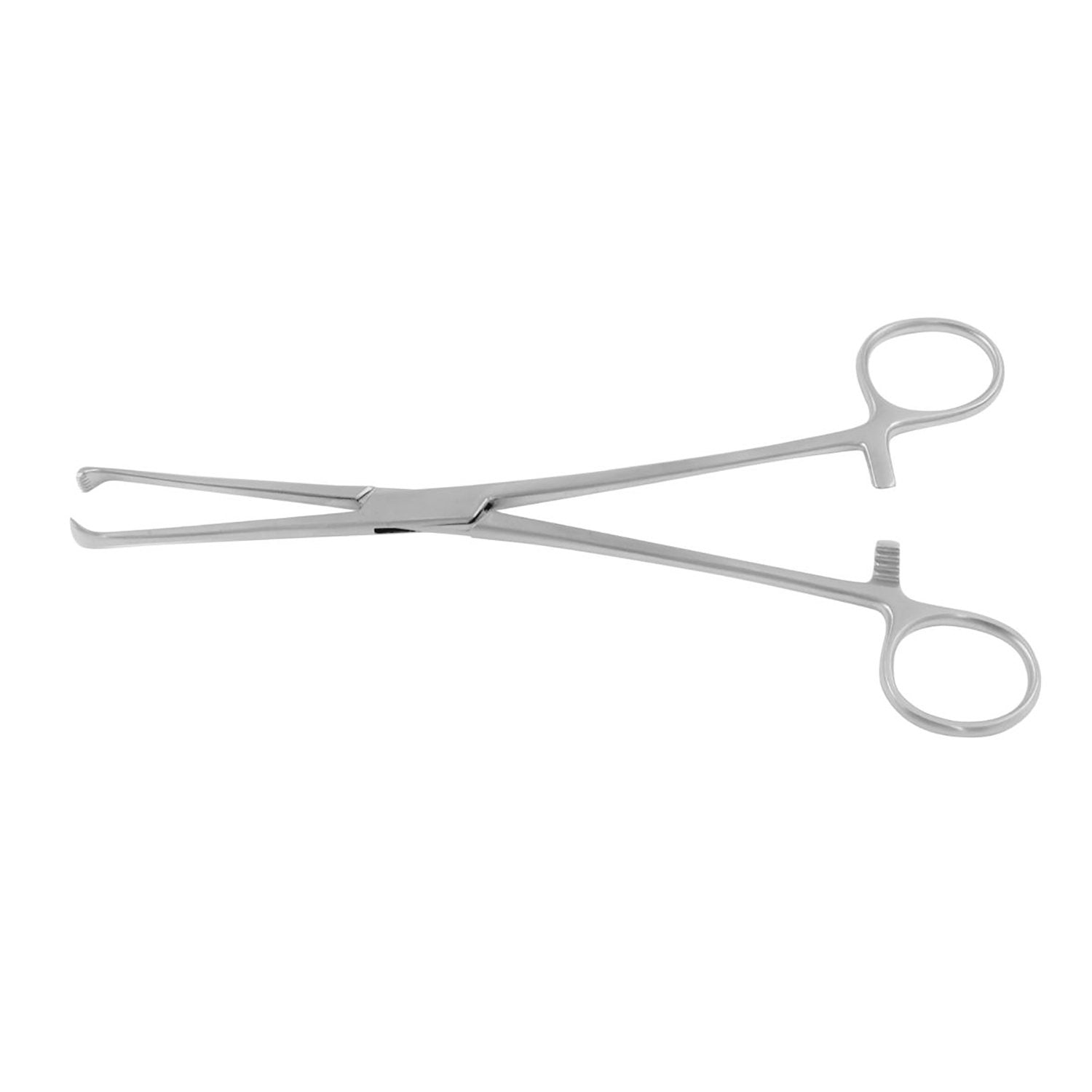 Thoms Tissue Forceps Hoofdafbeelding