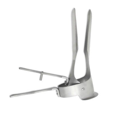 Thoroughbred Speculum