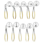 Tooth Extracting Forceps Set