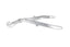 Tudor Edwards Rib Shears, Posterior