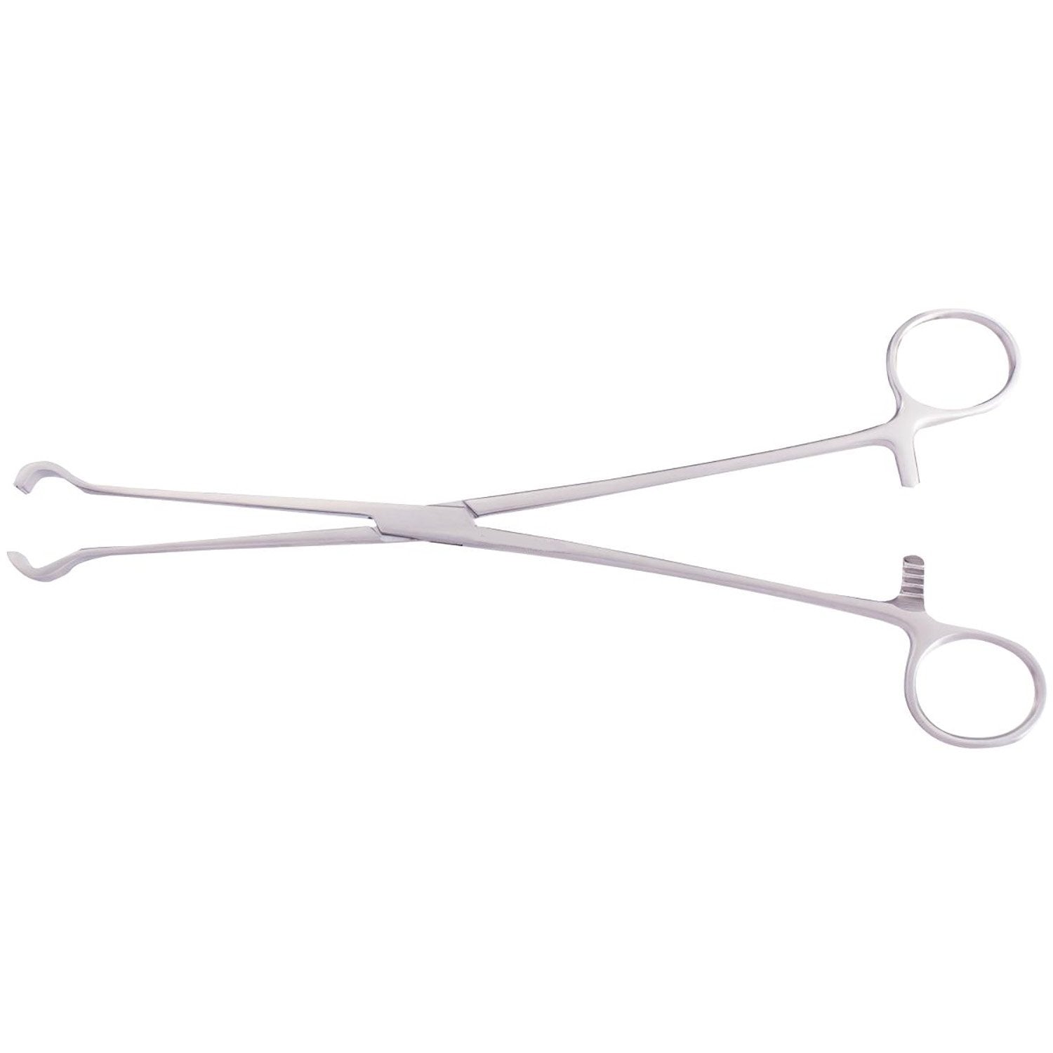 Turner-babcock Tissue Forceps Main image