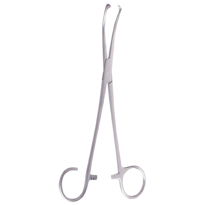 White-lillie Tonsil Seizing Forceps