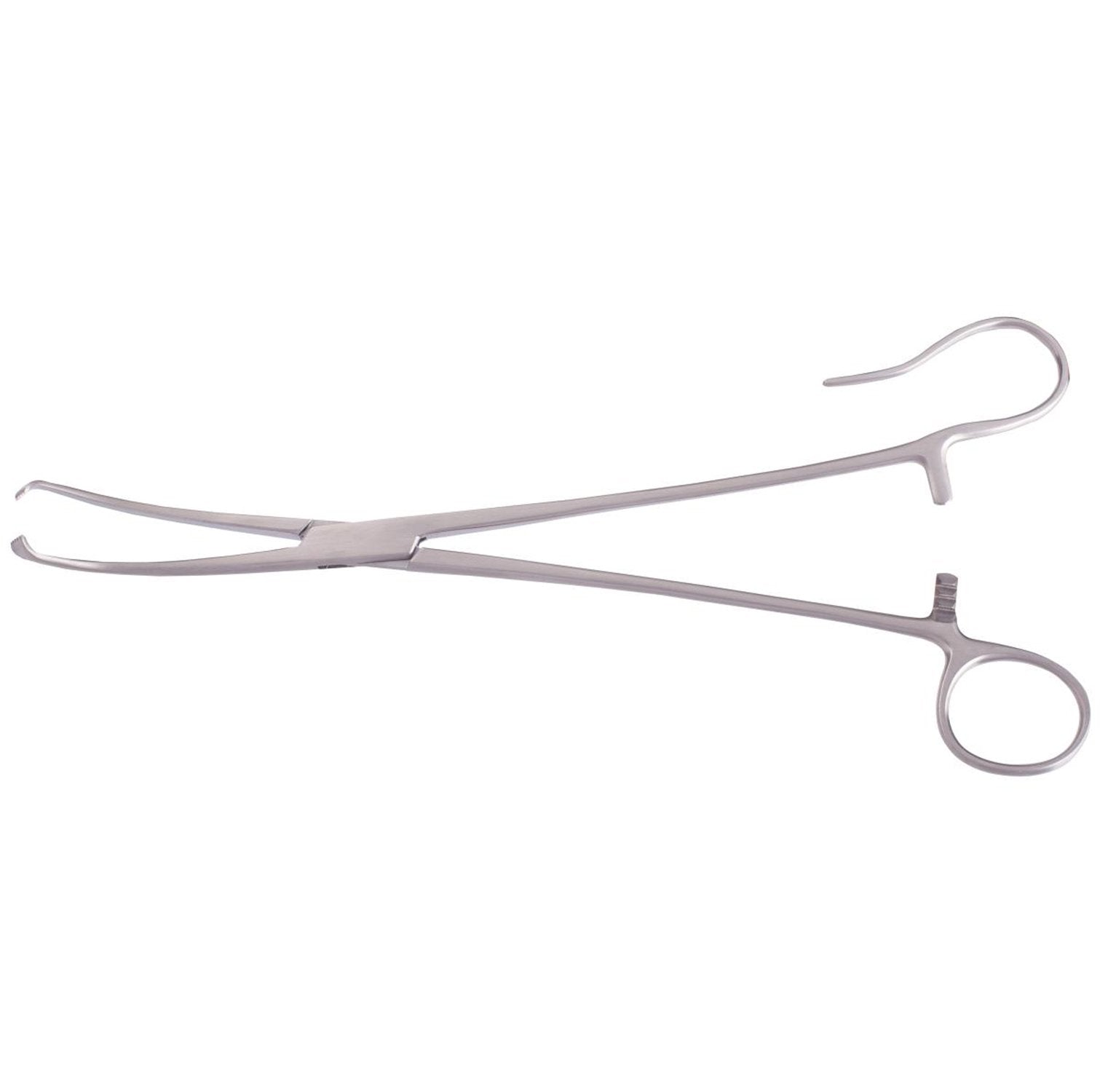 White Tonsil Seizing Forceps Hoofdafbeelding