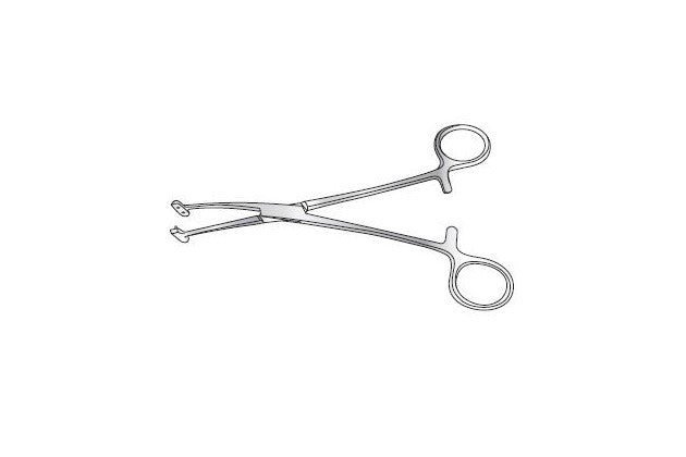 Willet Martel Forceps Instruments Image principale du produit