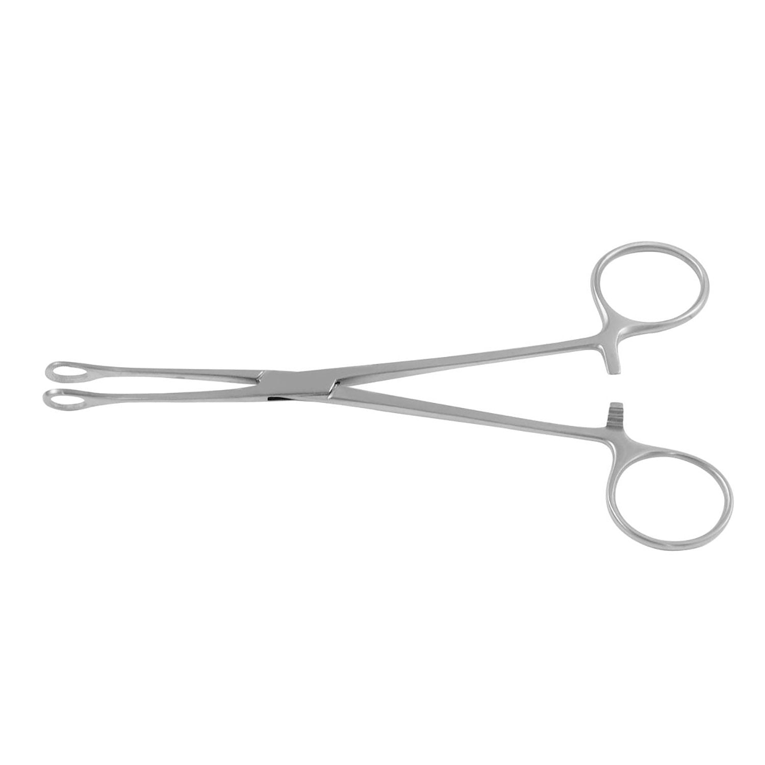 Williams Intestinal Forceps Hoofdafbeelding