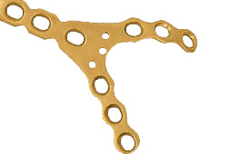 y fork plate Hình sản phẩm chính